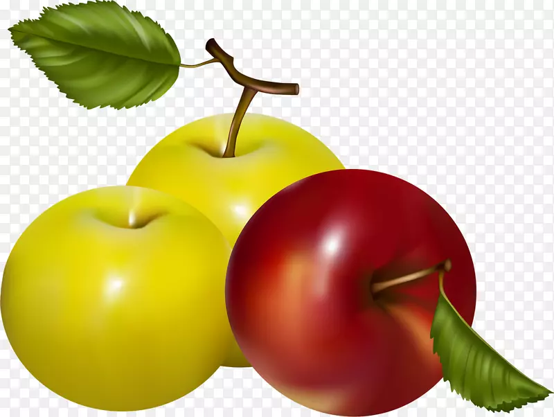 苹果水果-浆果