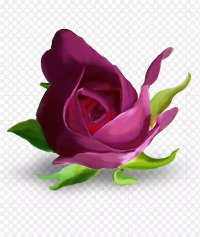 花园玫瑰花紫色字母表-神秘