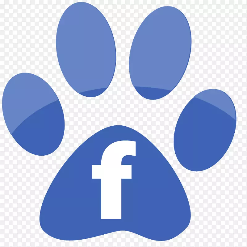 宠物坐在柔软的面罩猎犬拉布拉多猎犬马耳他小狗像我们一样在facebook上
