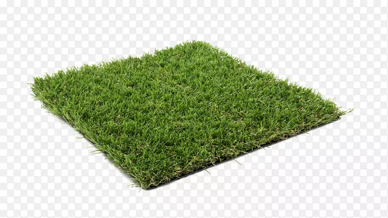 人造草坪地毯草阶地-木兰