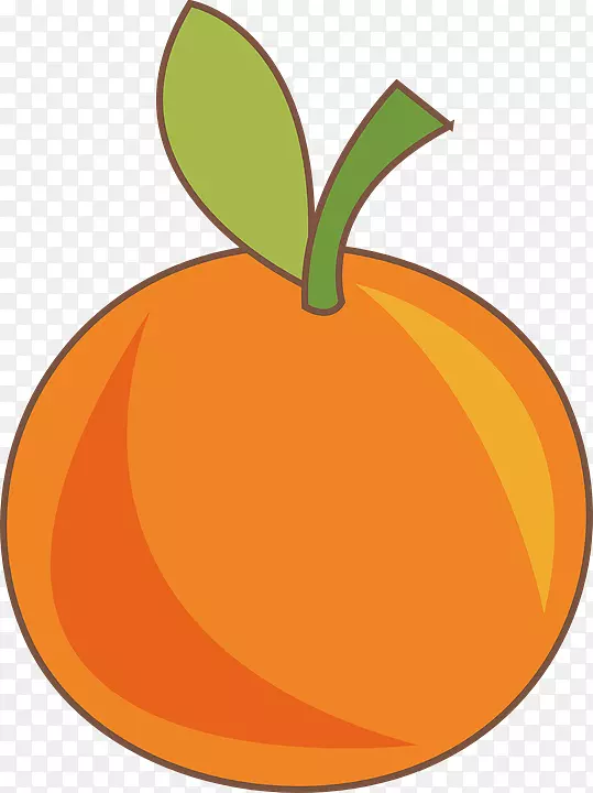 橙色S.A.水果食品提取.橙色水果