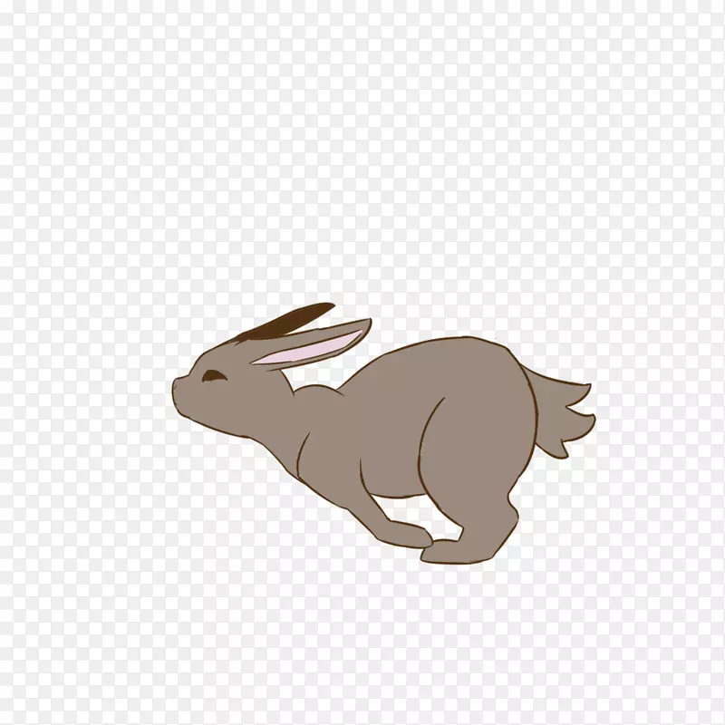 家养野兔步行周期复活节兔子-兔子