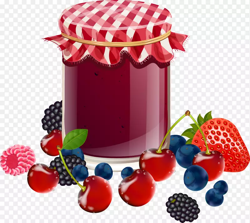 水果保藏免提成蓝莓
