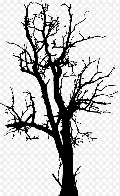 木本植物枝条枯死树