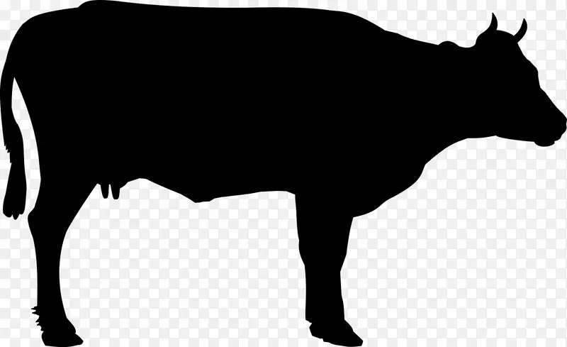 荷斯坦牛，弗里西亚牛，威尔士黑牛，白色公园牛，土狼