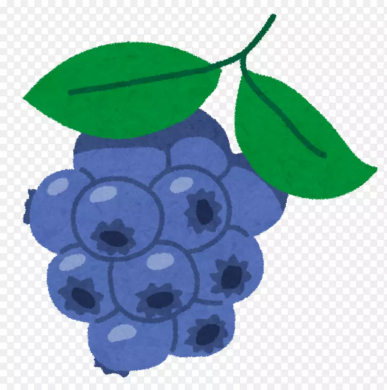 蓝莓膳食补充剂花青素叶黄素-蓝莓