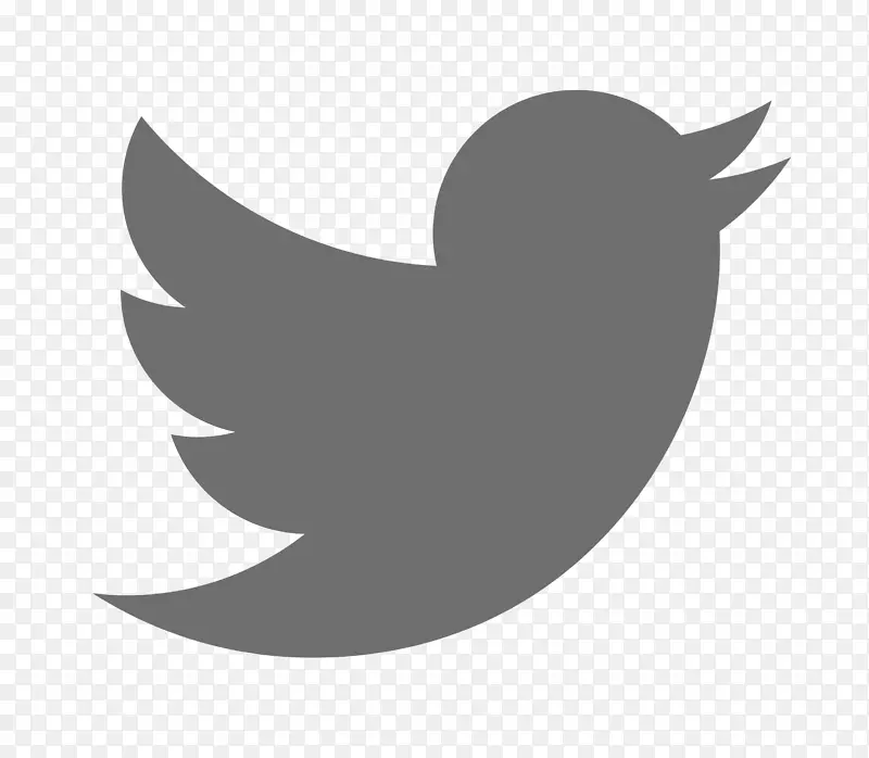 影响力解决方案社交媒体服务业务-Twitter