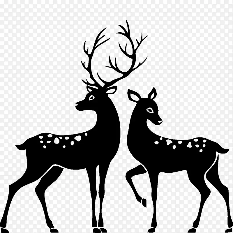 驯鹿白尾鹿圣诞驯鹿