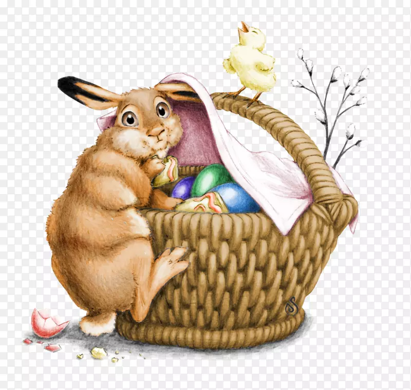 复活节兔子艺术兔子家养兔子-迈凯轮