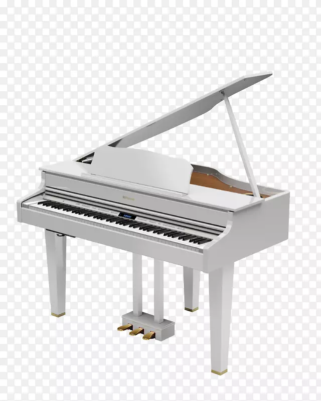 罗兰公司数码钢琴大钢琴键盘-钢琴