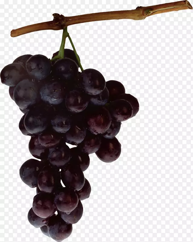 葡萄藤，Kyoho食品水果-葡萄