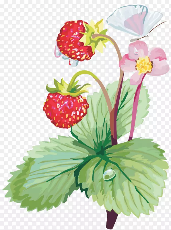 草莓果夹艺术-玛丽