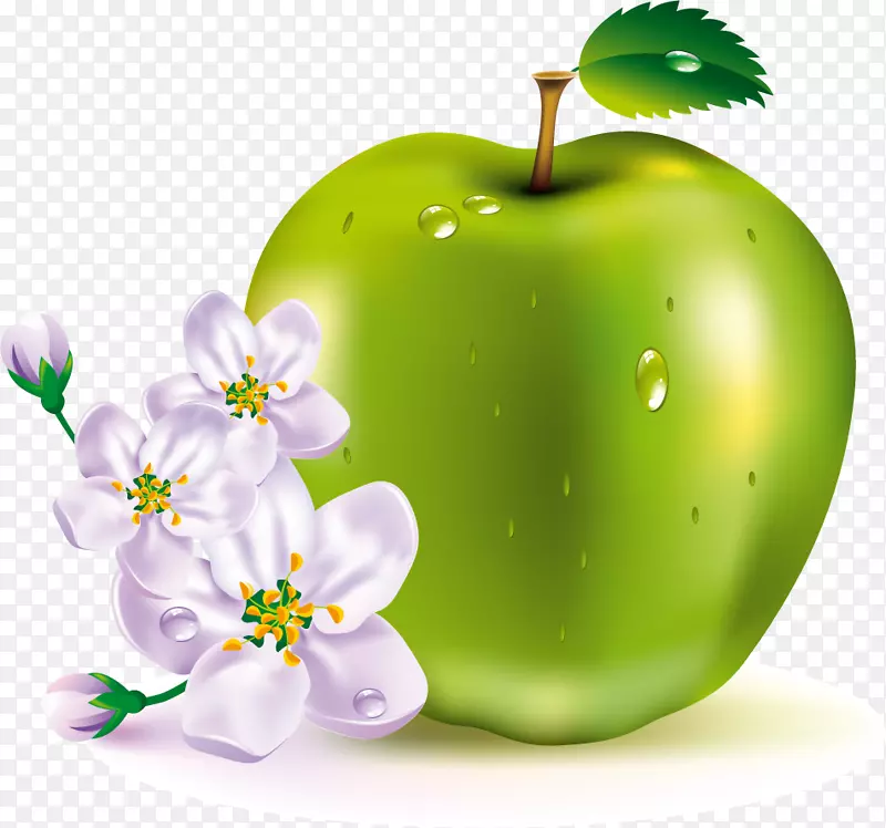 苹果水果剪贴画-苹果