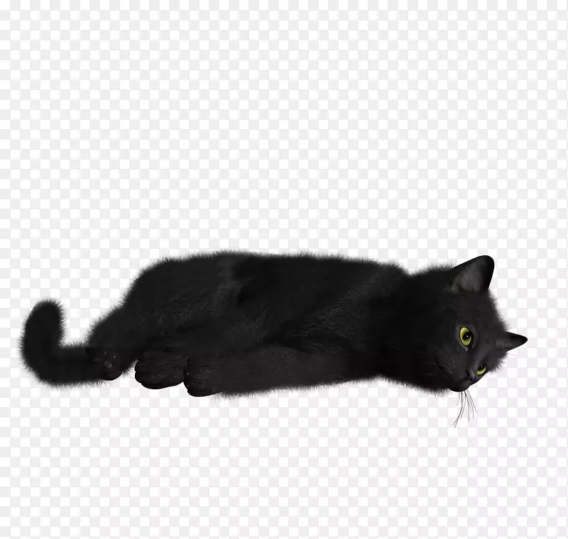 黑猫小猫桌面壁纸-猫