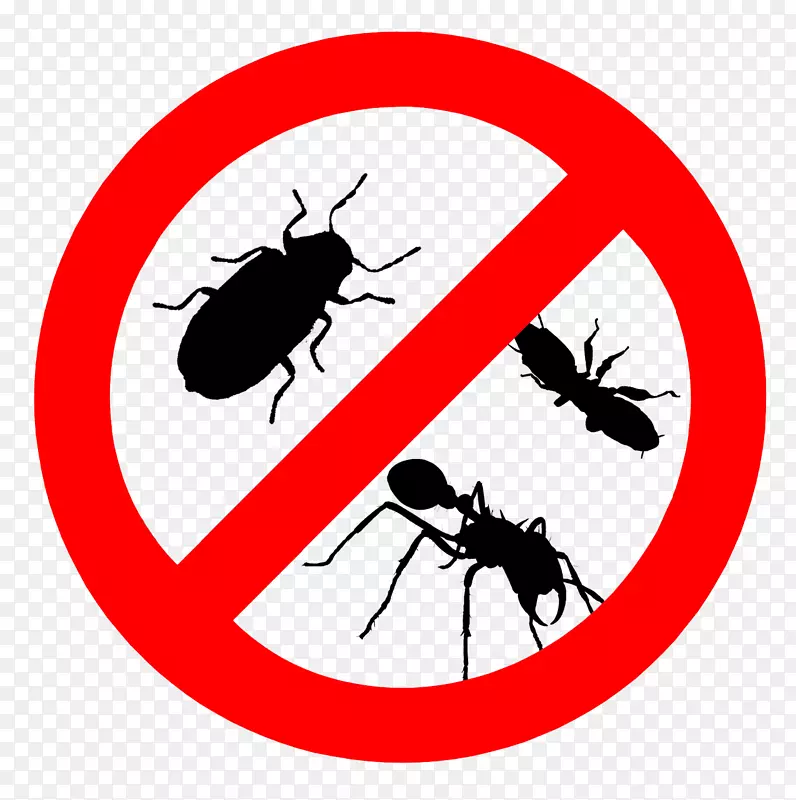 蟑螂病虫害防治床虫白蚁蟑螂