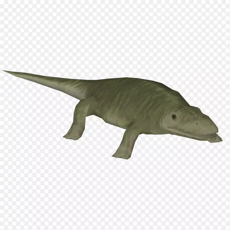 两栖类红斑恐龙二叠纪动物两栖动物