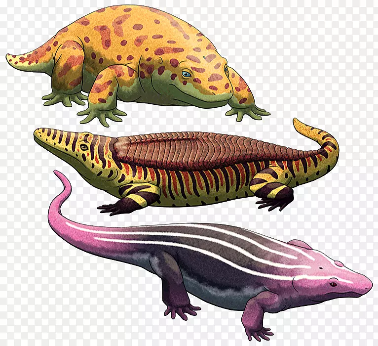 爬行动物lepospondyli恐龙