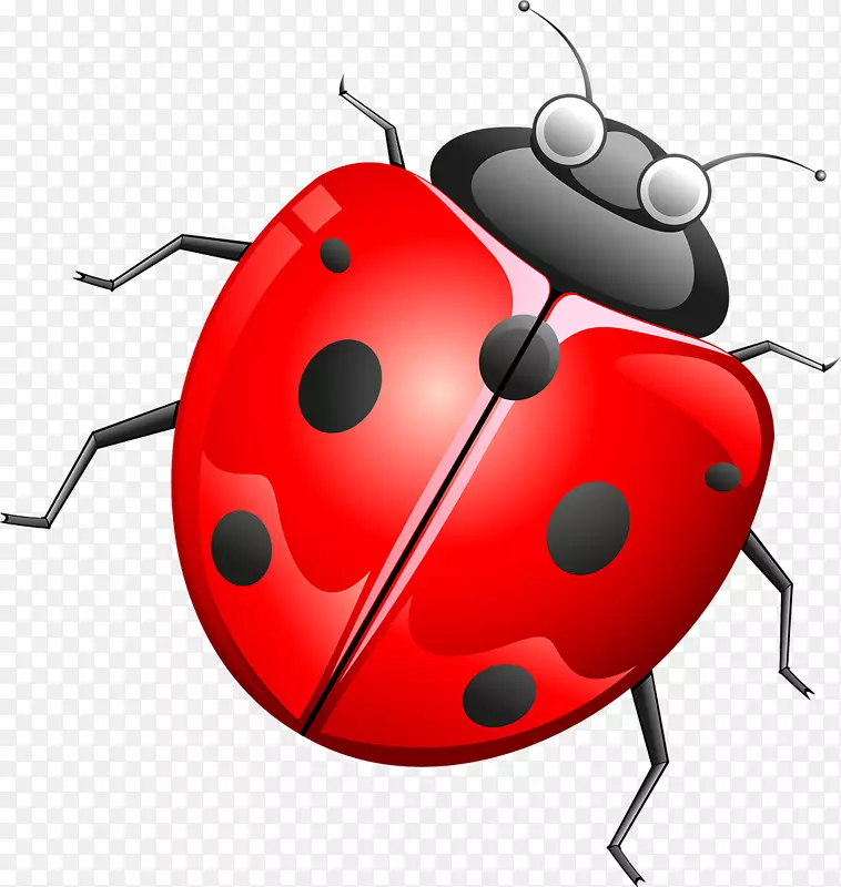 甲虫动画技术剪贴画-瓢虫