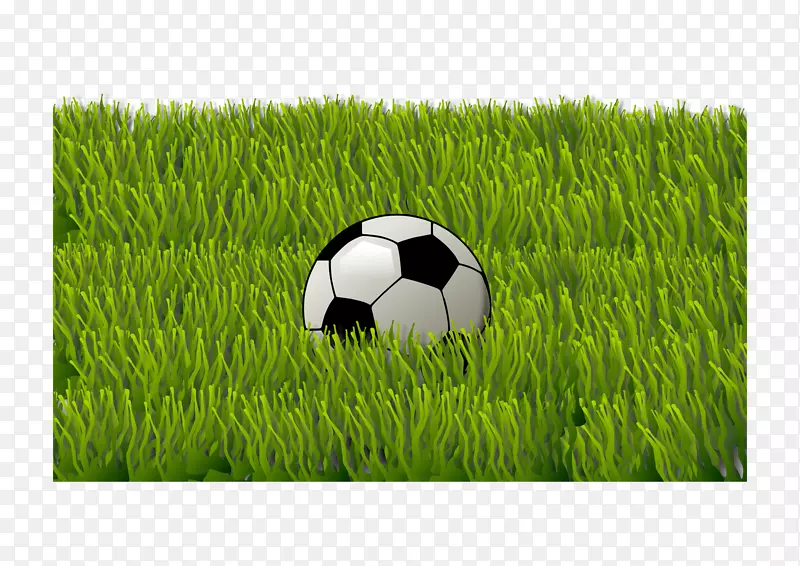 足球意甲体育用品-草地