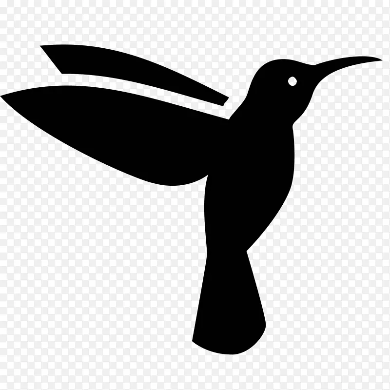 蜂鸟电脑图标象征飞鹅鸟