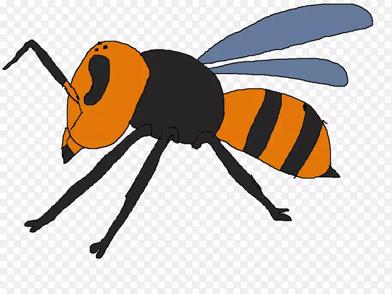 昆虫蜜蜂动物节肢动物麻雀