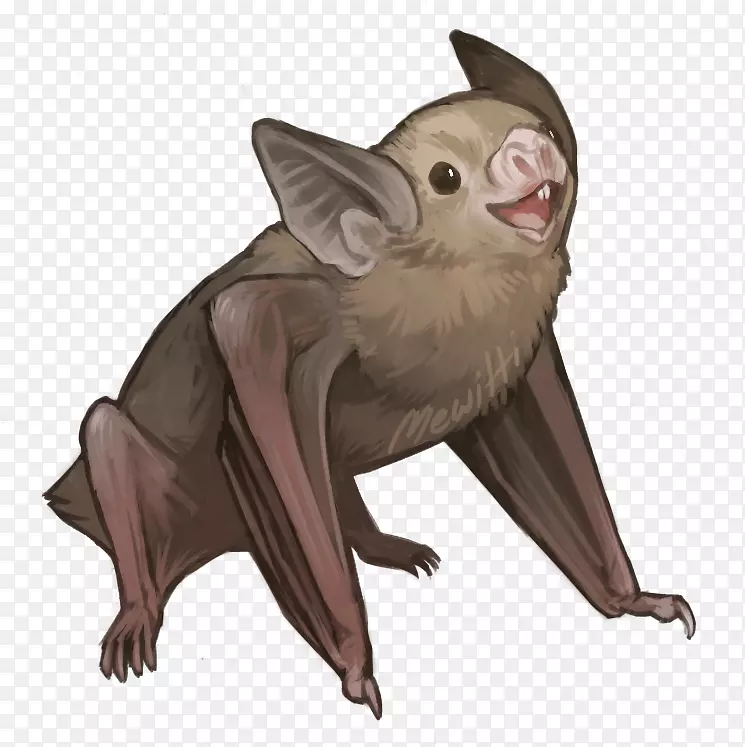 更大的假吸血蝙蝠基蒂的猪鼻蝙蝠洪都拉斯白蝙蝠画吸血鬼