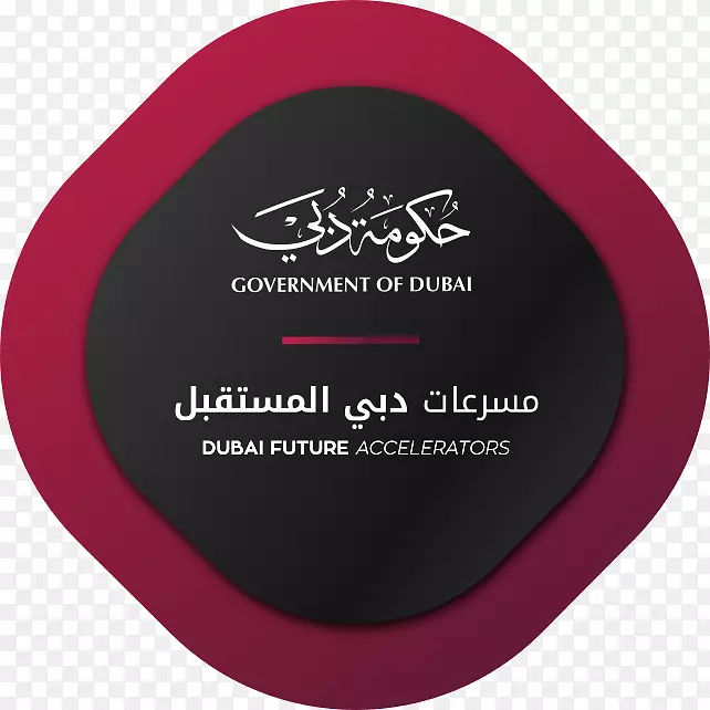 迪拜未来加速器启动加速器未来组织办公室-迪拜未来基金会印刷-迪拜