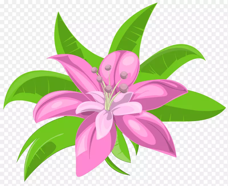 粉红花卉剪贴画-植物