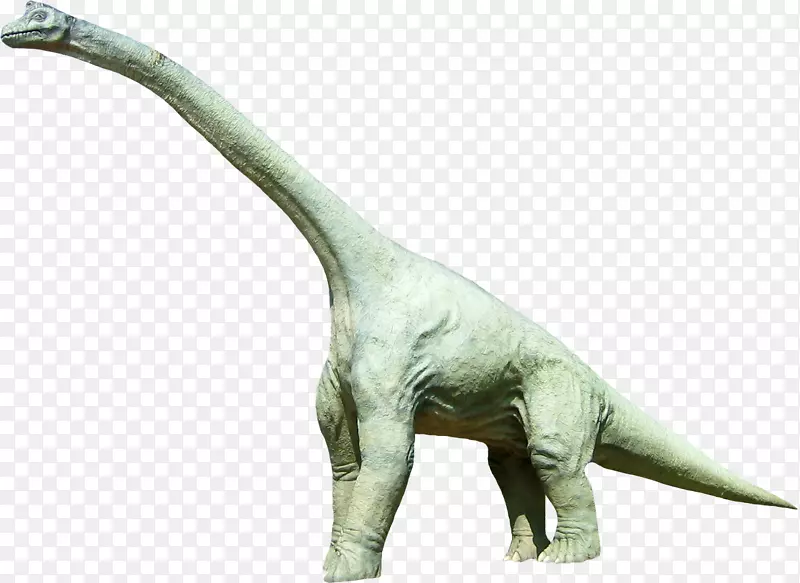 暴龙恐龙侏罗纪恐龙