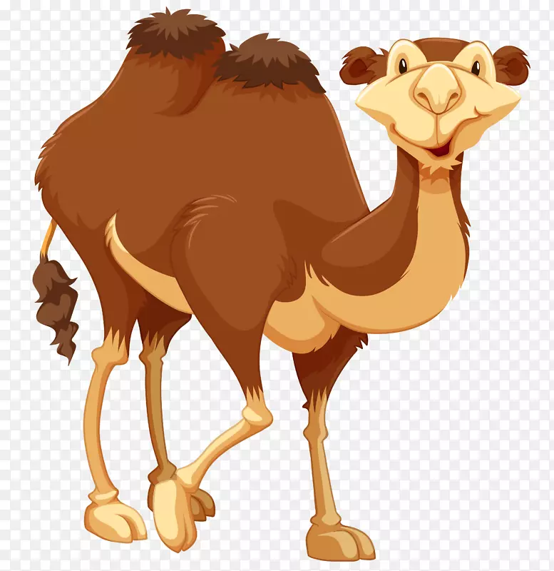骆驼免版税摄影绘画.骆驼