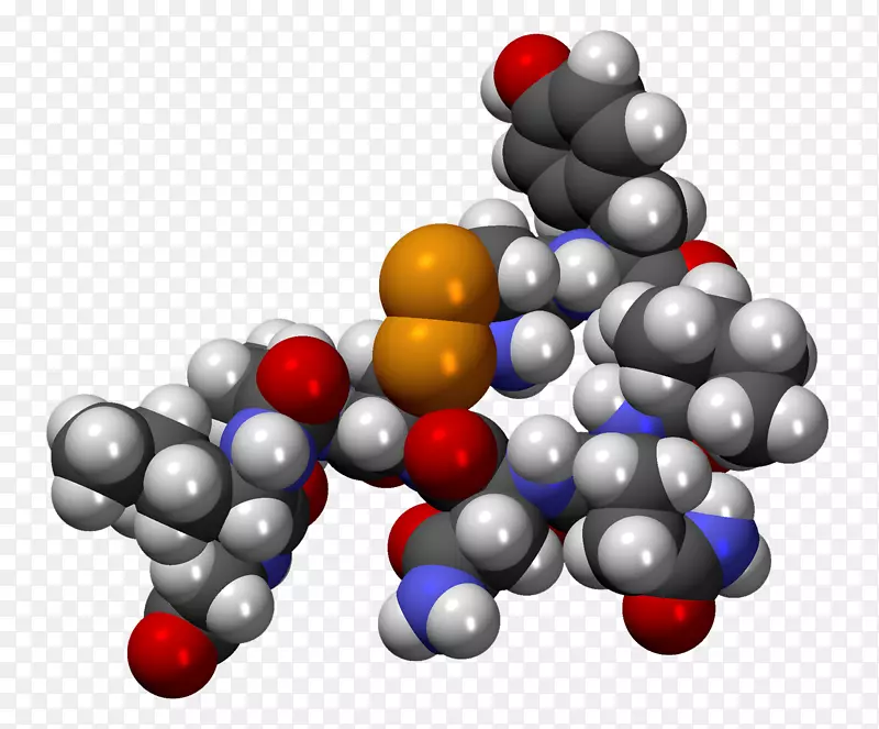 催产素分子激素分子质量肽-爱情化学