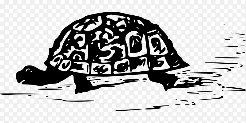 龟剪贴画-海龟