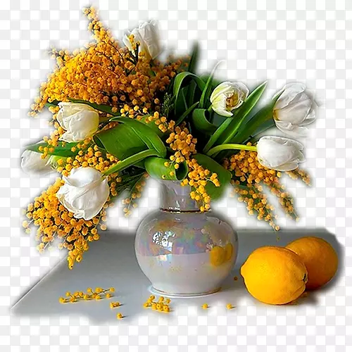 花卉设计静物摄影花瓶-非洲菊