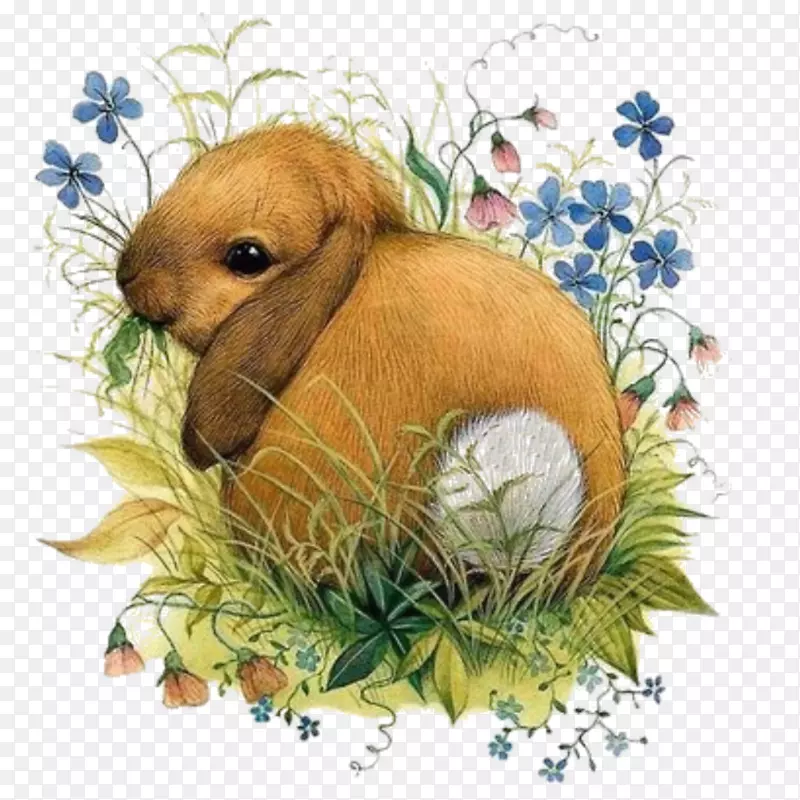 维拉，老鼠复活节兔子插画-兔子