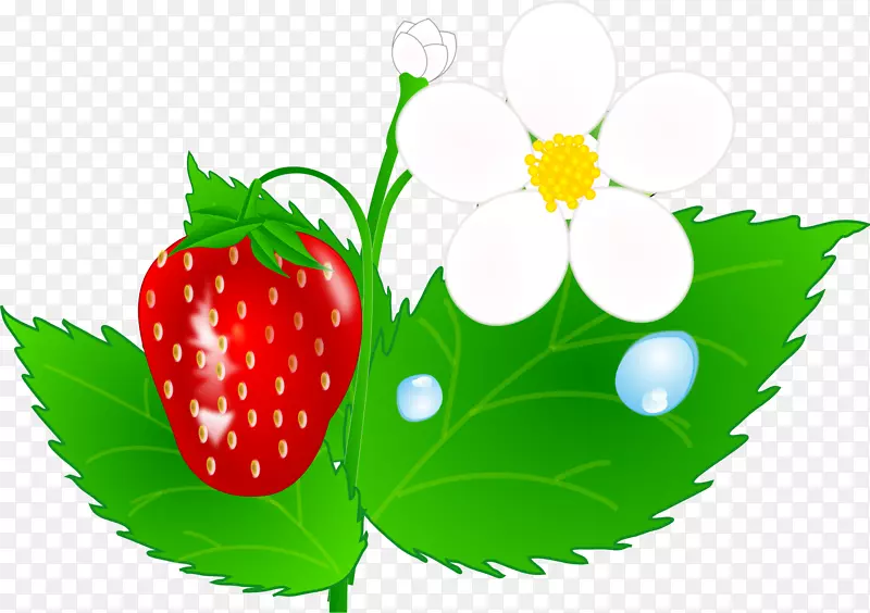草莓酥饼水果剪贴画-草莓