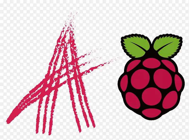 raspberry pi mqtt raspbian计算机软件-覆盆子