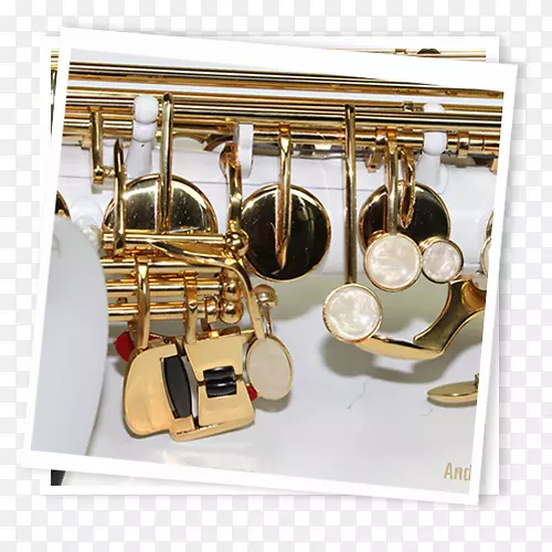 黄铜乐器，管风琴，管乐器.萨克斯管