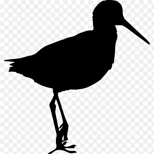 鸟类风笛手电脑图标剪贴画动物剪影