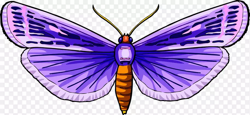 蝴蝶电脑图标剪贴画昆虫