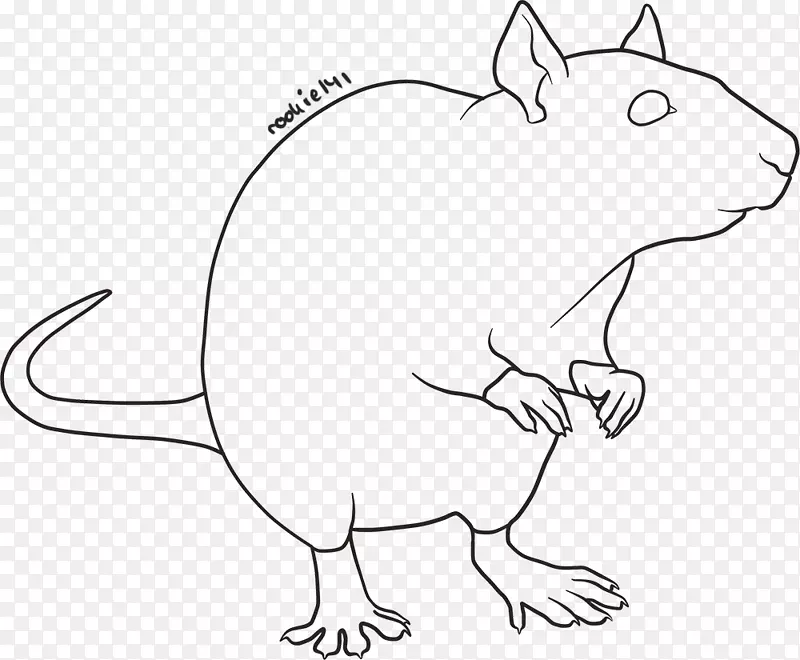 线艺术啮齿动物实验鼠棕色大鼠和小鼠