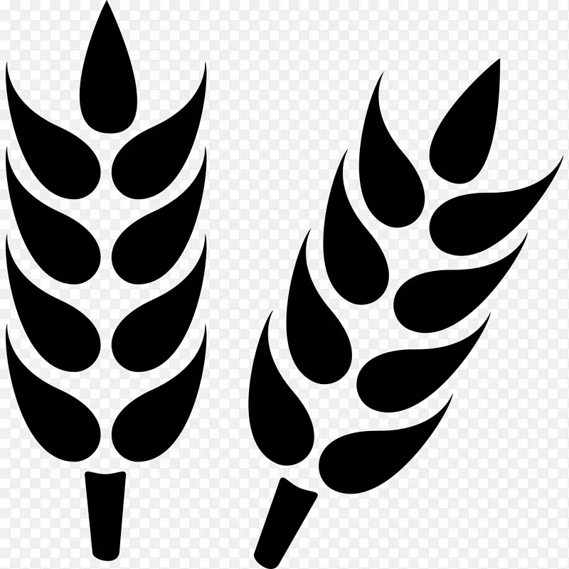 农业计算机图标农场-大麦