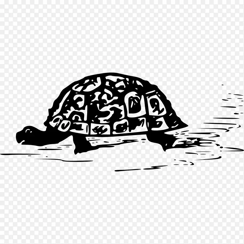 海龟爬行动物剪贴画-海龟