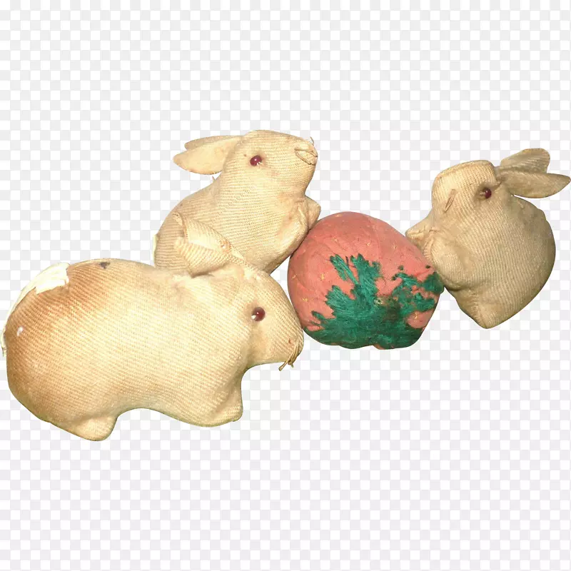 家兔复活节兔动物鳍