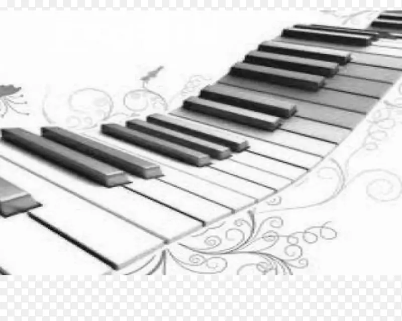 乐器键盘钢琴音乐家钢琴
