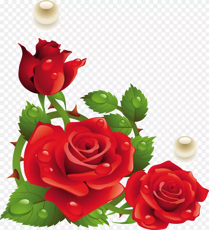 玫瑰纸红花夹艺术-葬礼