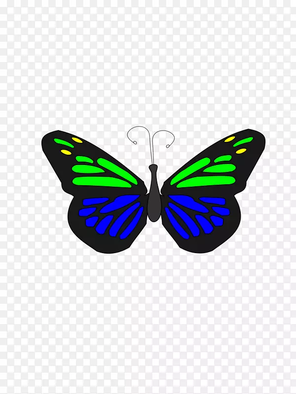 蝴蝶电脑图标动画-蝴蝶