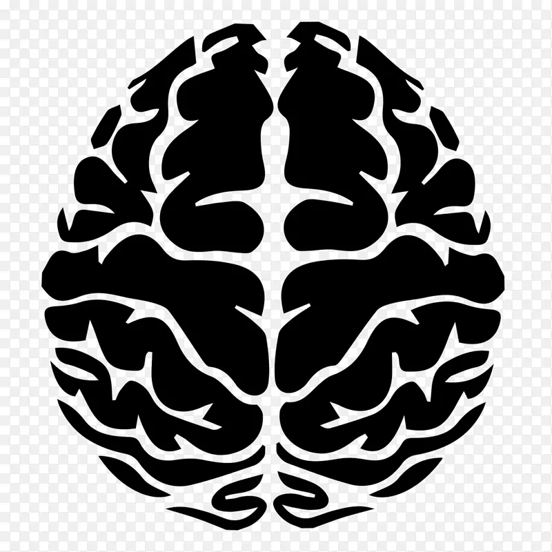 脑肿瘤脑标测肿瘤神经影像学
