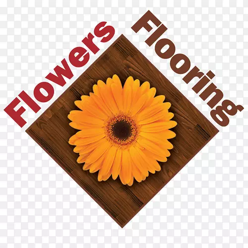 奥本花卉地板销售业务-地毯