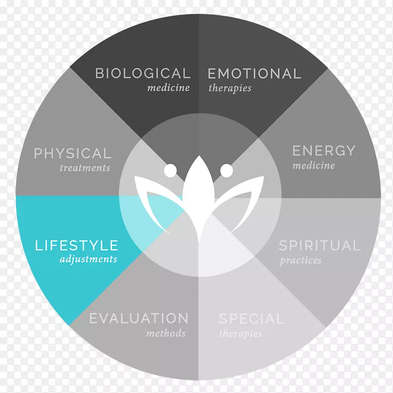 以情感为中心的治疗双氧水能量集中疗法-谢琳·伍德利