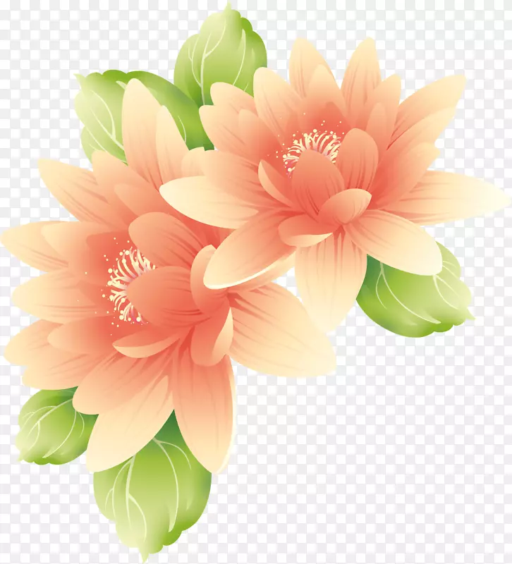 花卉桌面壁纸-莲花
